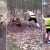 Jogger Saves Wild Sheep Struggling To Free Its Horns From A Tree [Watch]