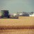 North Dakota Grain Terminal Goes GMO-Free To Meet Consumer Demand