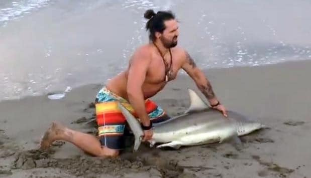Idiot Beachgoers Drag Shark From Ocean To Take Photos