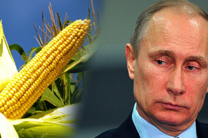 Russia Bans U.S. Corn and Soybean Imports Because Of GMO Contamination