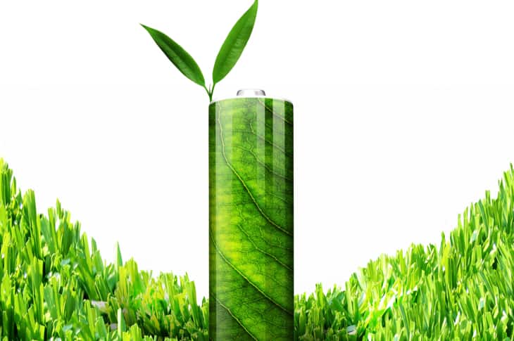 Scientists Just Figured Out How To Power Batteries With Leaves
