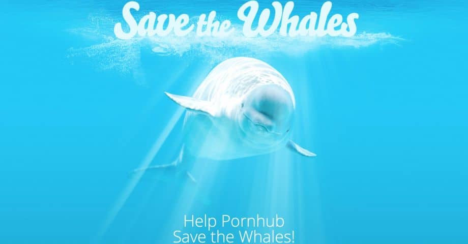 Popular Adult Video Site Starts Fundraiser To Save The Whales