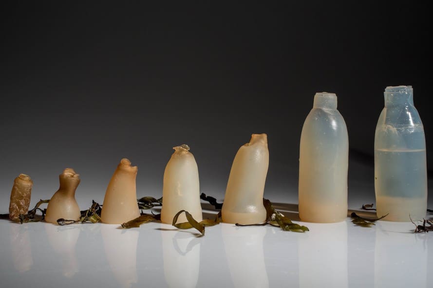 This Fashionable Algae Water Bottle Maintains Its Shape Until It’s Empty, Then It Breaks Down
