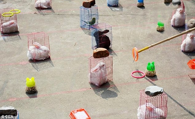 Live Animals Are Being Used For An Inhumane ‘Shoot The Hoop’ Game In China