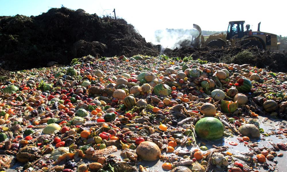 27 Ways To Reduce Food Waste And Save The Economy $100 Million [Report]