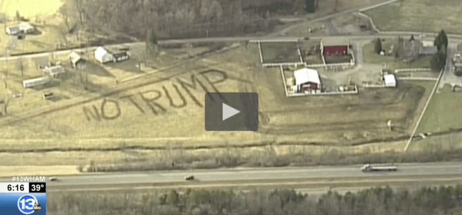 Farmer Uses Excrement From 15 Bulls And Cows To Express His Feelings For Donald Trump