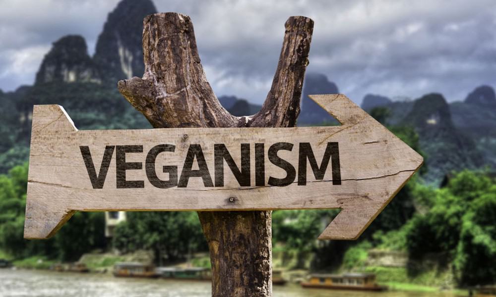 Study: Eating Vegan Would Save 8.1 Million Human Lives By 2050