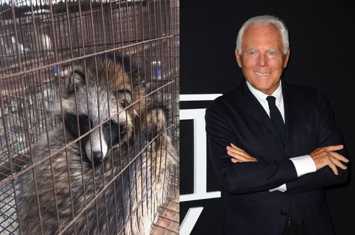 Armani Announces That They Will Never Use Fur In Their Fashion Lines Again