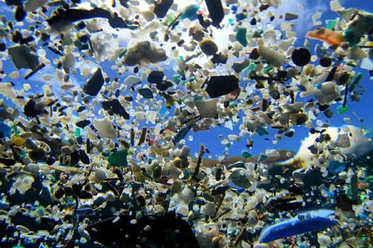 Humans Have Thrown “Away” So Much Plastic Into Oceans That We Are Now Eating It