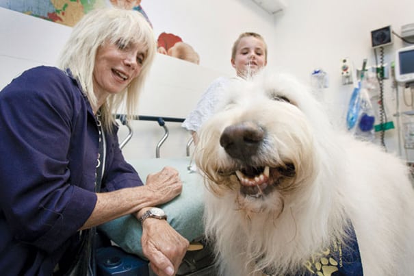This Hospital Allows Pets To Visit Sick Humans To Help Them Feel Better [Watch]