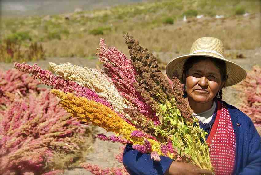 This South American Country Will Be Completely Self-Sufficient By 2020