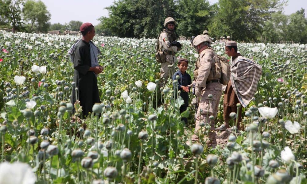 The Afghanistan War Has Turned An Entire Generation Of Children Into Drug Addicts