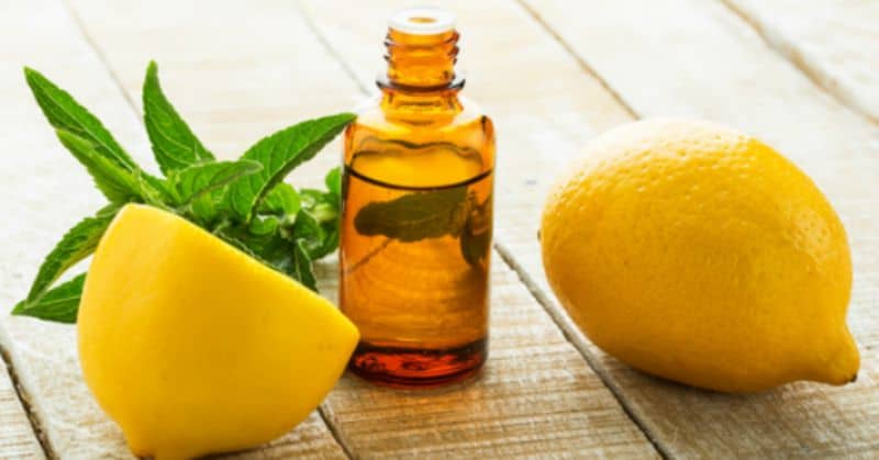 Lemon Eucalyptus Oil As Effective As DEET, Confirms CDC
