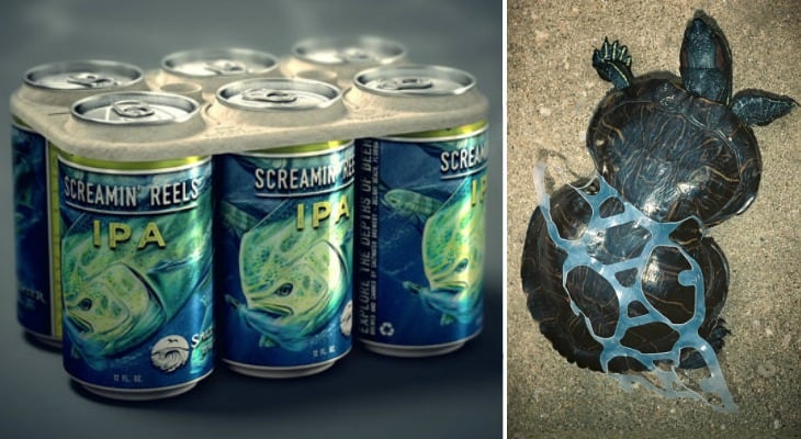 Beer Company Develops Edible Six-Pack Rings That Feed, Rather Than Kill, Marine Life