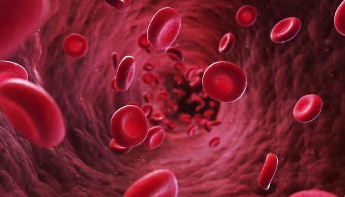 Study: Vegetarian Blood Is 8x More Effective At Killing Cancer Cells