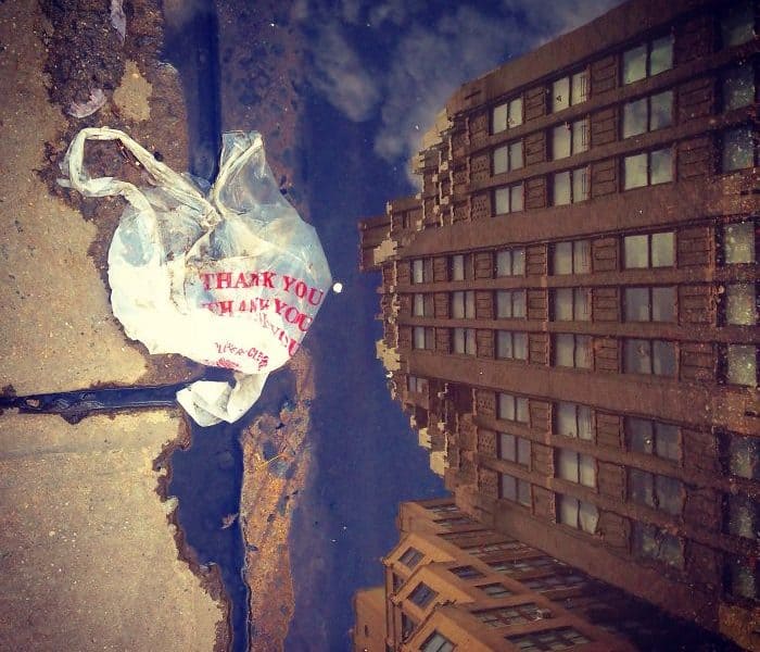 20 Artistic Photos That Convey The Plastic Pollution Problem In New York