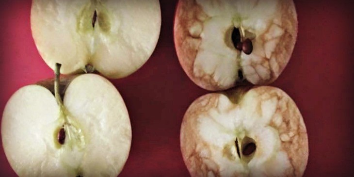 When Asked To Explain Bullying, This Teacher Reached For Apples And Blew Her Classes’ Mind
