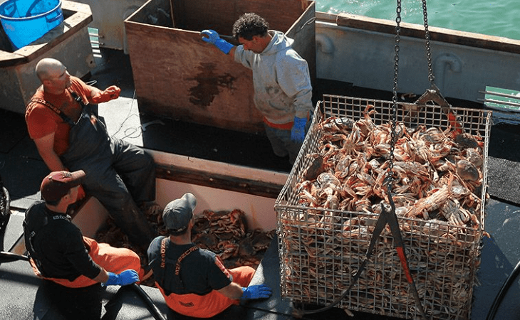 Fukushima Nuclear Disaster Derails California Commercial Crab Fishing