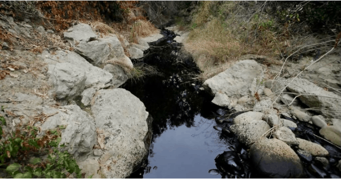 California Oil Spill Leaks Thousands Of Gallons Into A Sensitive Location —Leaves A Reminder Of Big Oil’s Dangers