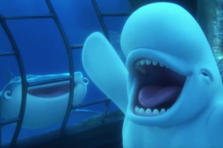 ‘Finding Dory’ Beluga Whale Disses SeaWorld With A Simple Message