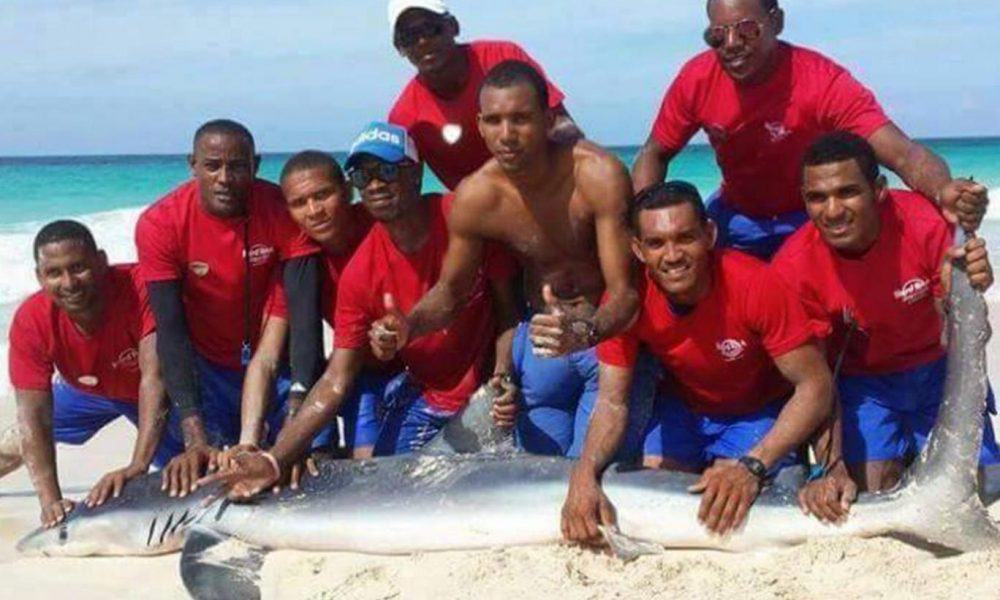 Tourists And Hotel Employees Drag Shark From Ocean For Photos, Kill It