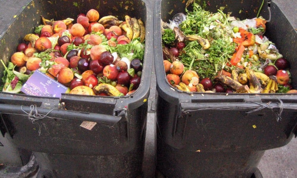 This Australian Precinct Has Reduced Food Waste By 90% In Recent Years