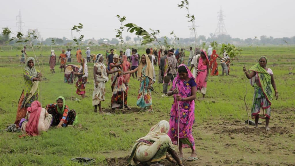 Indian women plant saplings on the outskirts of Allahabad, India, Monday, July 11, 2016. Hundreds of thousands of people in India's most populous state Uttar Pradesh are jostling for space as they attempt to plant 50 million trees over the next 24 hours in hopes of setting a world record. (AP Photo/Rajesh Kumar Singh)