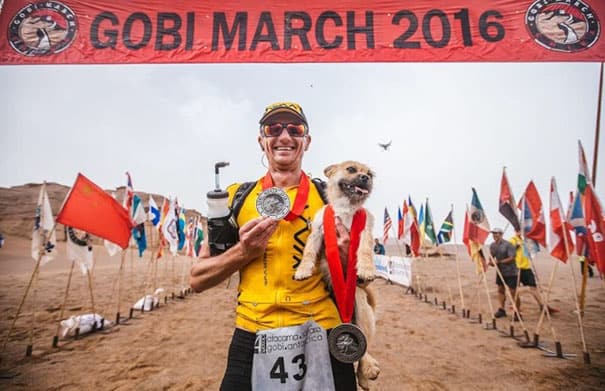Dog Joins Runner On 250K Race, Gets Adopted By The Finish Line