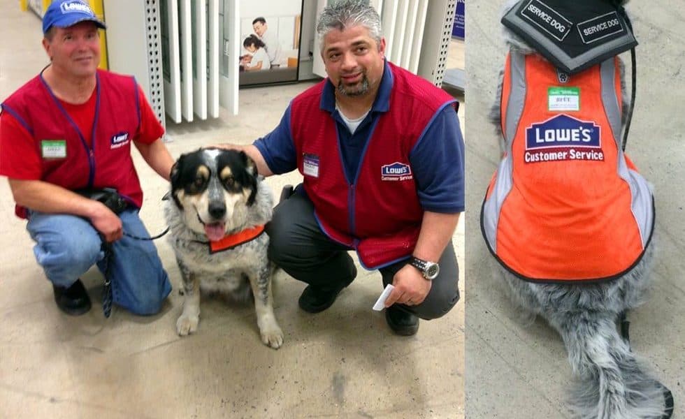 Disabled Man Couldn’t Find A Job Because Of His Service Dog. Then THIS Happened!