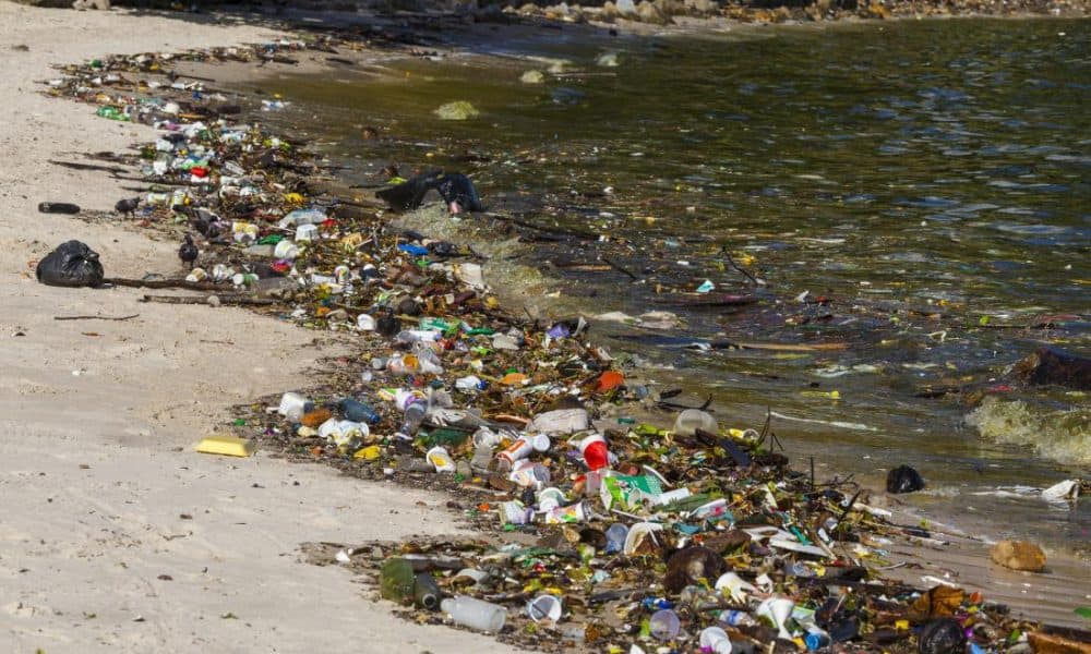 3 Teaspoons Of Water In Rio Is Enough To Make Anyone Seriously Sick