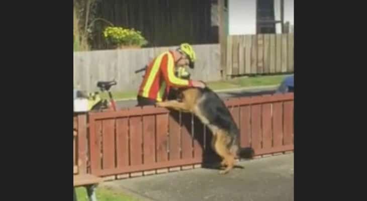 Everyone Avoided This Dog EXCEPT The Mailman. When You See Them Interact, Your Heart Will Melt…