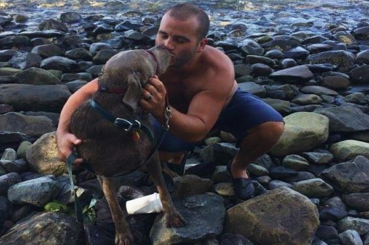 This Dog Found Herself Lost At Sea And Drowning Until This Stranger Rescued Her