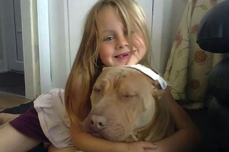 Police Pried This “Pit Bull” From The Hands Of A Little Girl With Autism