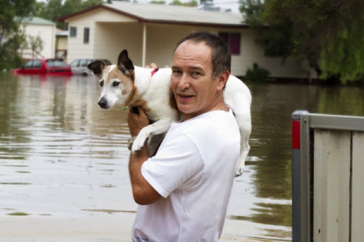 Louisianans Are Risking Their Lives To Save Animals In The Floods