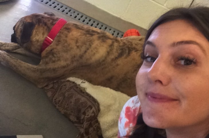 Shelter Staff Refuses To Leave Dog’s Kennel Until She Is Adopted