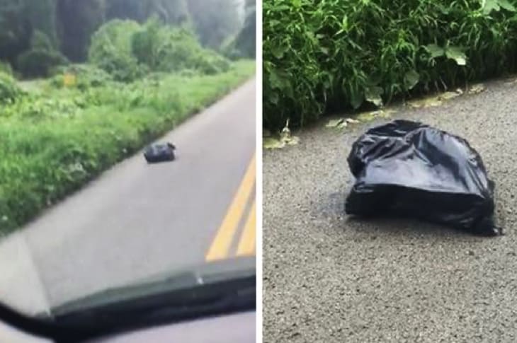 This Driver Was Astonished When She Opened This Moving Trash Bag In The Road