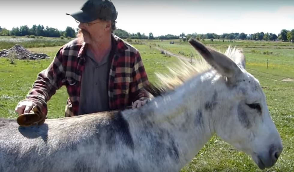 Rancher Has Change Of Heart, Turns Cattle Farm Into Animal Sanctuary [Watch]