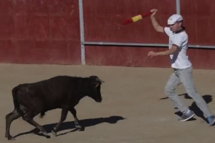 Baby Cows Forced To Fight — And Die — In Bullfights