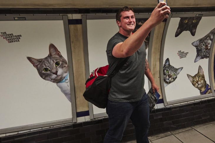 Photos Of Cats Replace Ads In London Subway Station — And They’re All Up For Adoption