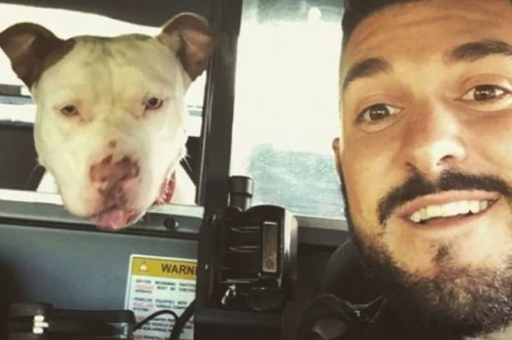 Thoughtful Cop Takes Selfies With Lost Dogs To Help Find Their Humans