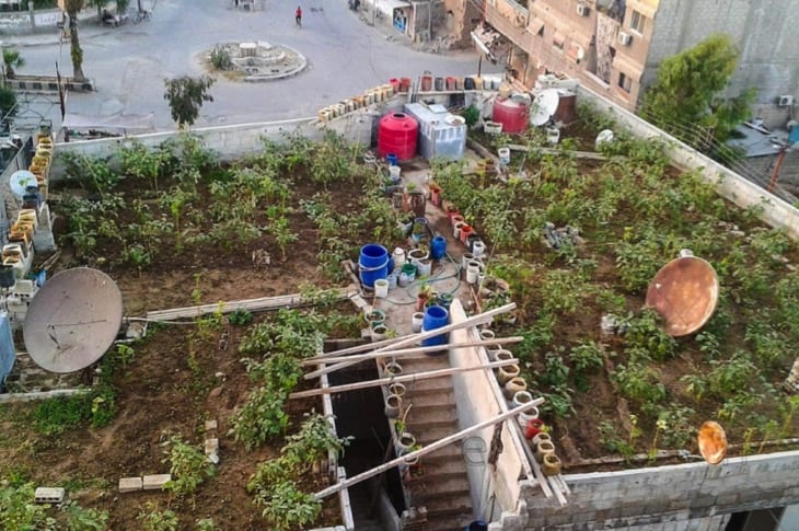 Syrian Man In War-Torn Aleppo Is Using His Victory Garden To Feed His Family And Neighbors
