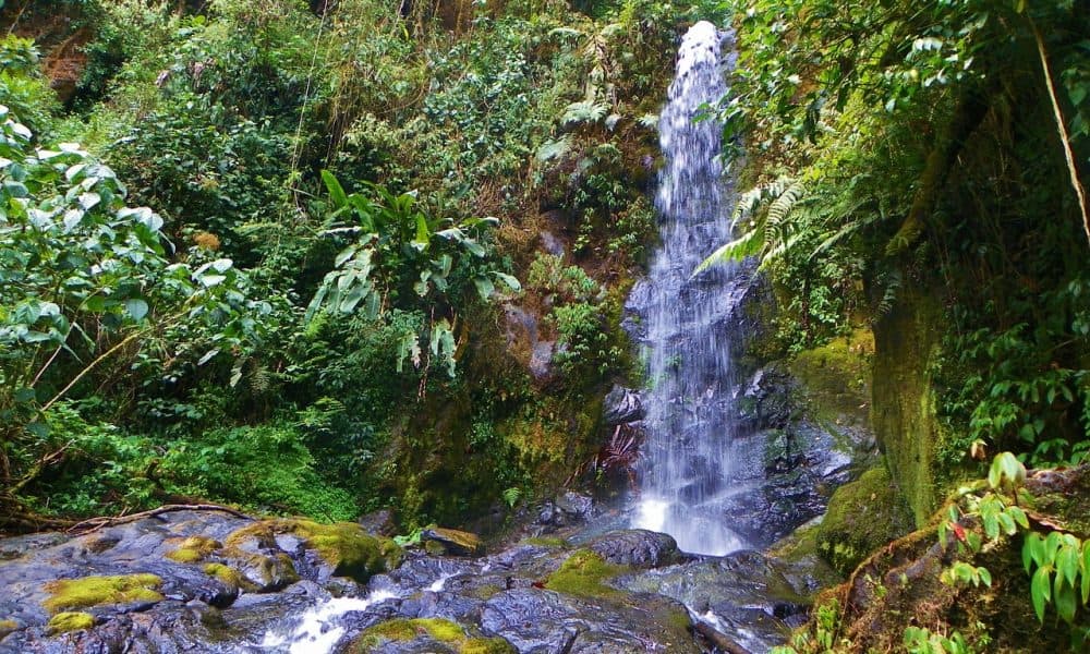 Costa Rica Has Been Thriving On 100% Renewable Energy For 113 Days (And Counting!)