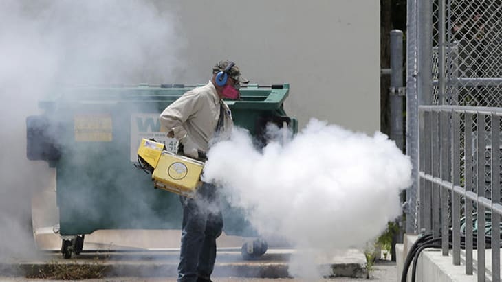 Pesticide Used To Control Zika Mosquitoes Causes Birth Defects And Autism