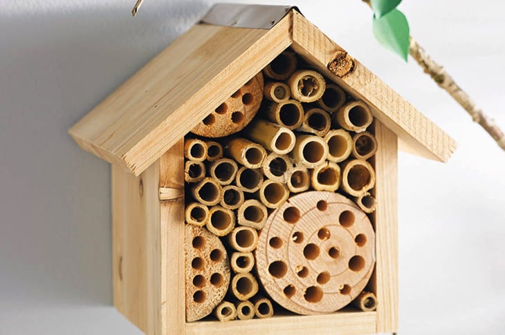 How To Build A Cute Bee Hotel To Help Out Their Population