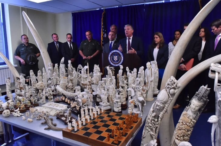 NYC Antique Shop Busted With $4.5 Million In Illegal Ivory