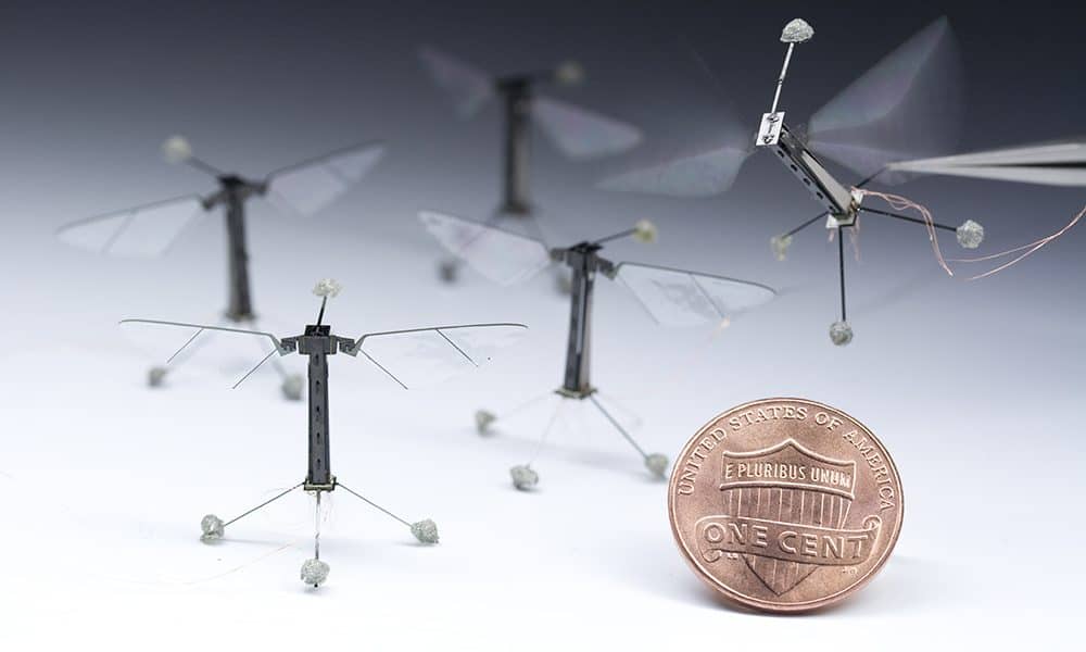 Project Originally Funded By DARPA Seeks To Replace Bees With Tiny, Winged Robots