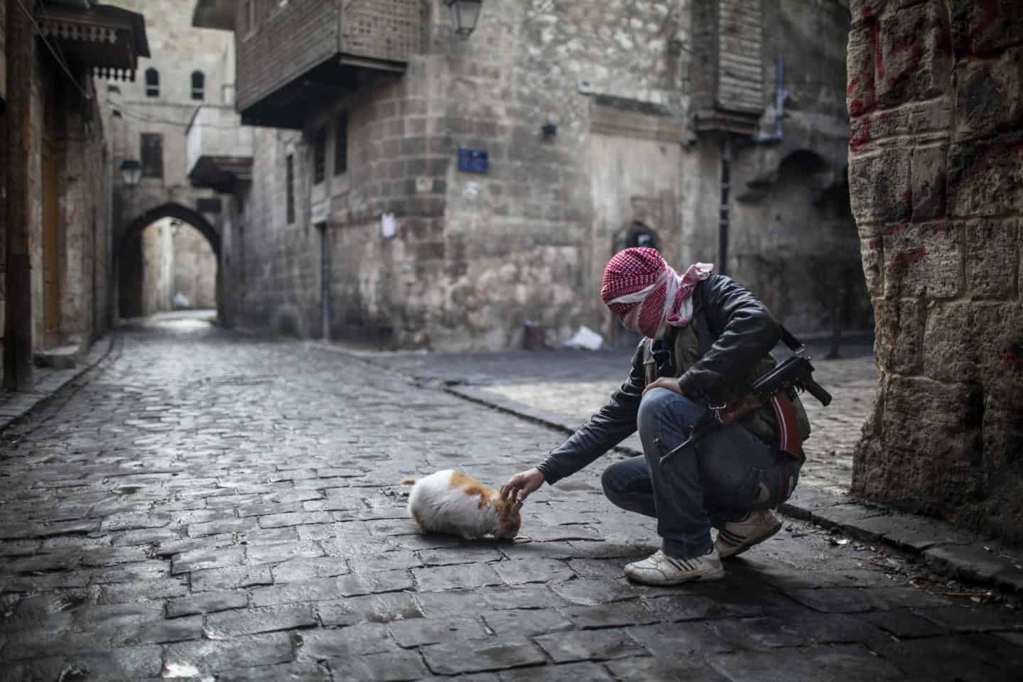 A Free Syrian Army fighter feeds a cat bread in the old city of Aleppo, Syria, January 6, 2013. Credit: AP via Newsweek 