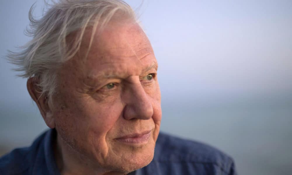 Sir David Attenborough Jokes That “We Could Shoot” Climate Change Denier Donald Trump