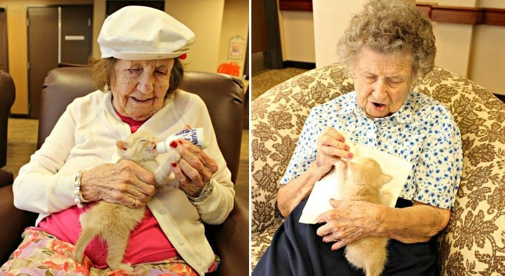 This Is What Happens When An Animal Shelter Partners With An Elderly Care Facility…