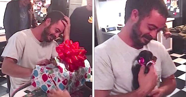 Veteran With PTSD Has Emotional Reaction To Being Surprised With Puppy For Christmas [Watch]